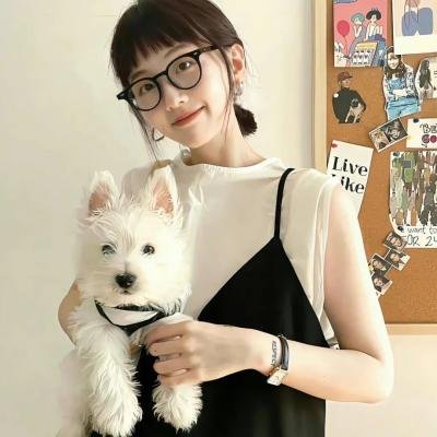 冒牌特工