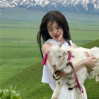 玫瑰花开